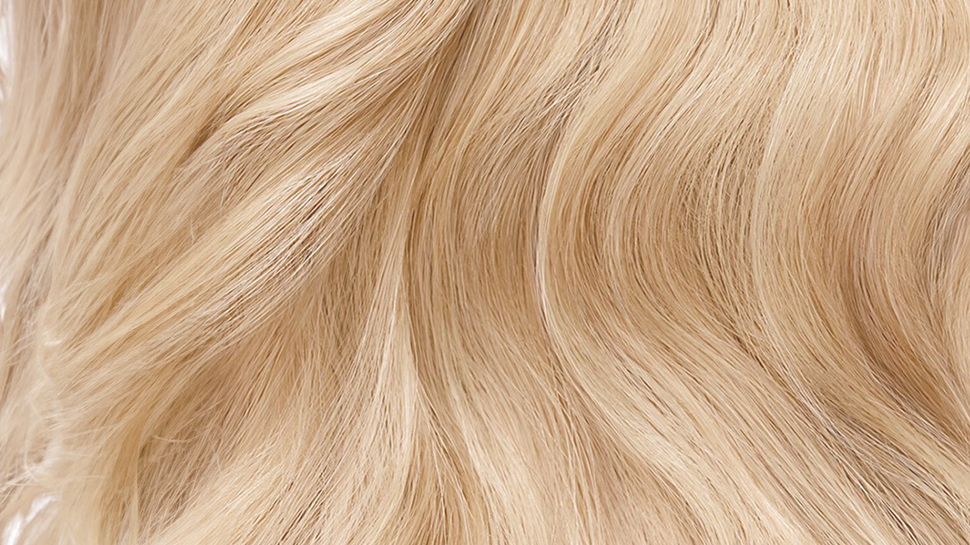 MAXD Hair Thickening Fibers