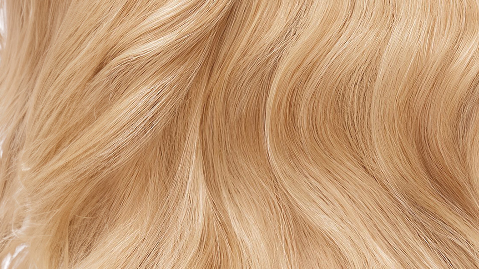 MAXD Hair Thickening Fibers